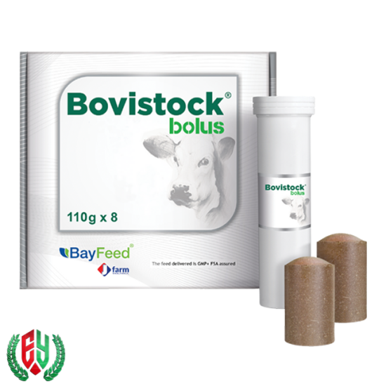 Bovistock Bolus