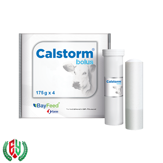 Calstorm Bolus