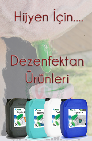 Dezenfektan ve Hijyen Ürünleri