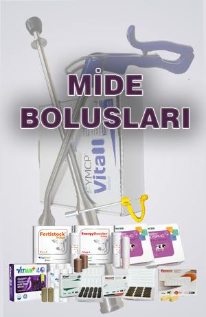 Mide Bolusları